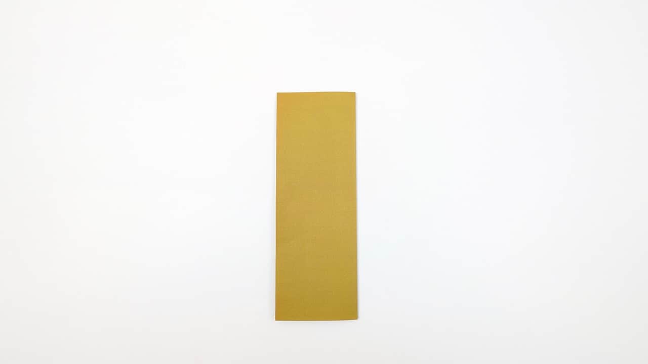 Fold the paper in half lengthwise (hot dog fold), matching the long edges together. Crease firmly down the center.